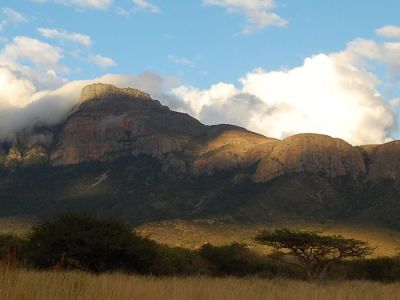 Moholoholo Nature Reserve and Wildlife Rehabilitation Centre