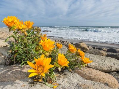 Namaqua National Park