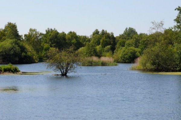 Nooitgedacht Dam Nature Reserve
