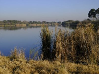 Northern Farm Nature Reserve