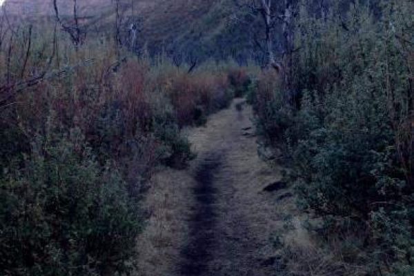 The Upper Trail to Black Pool, Maliba Lodge