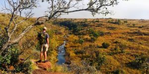 Ezemvelo Nature Reserve