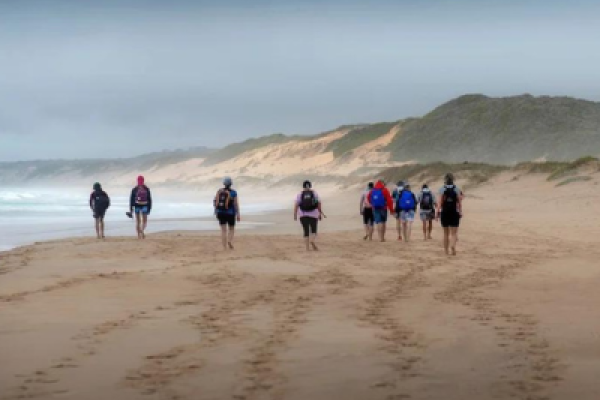 Oystercatcher Trail