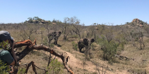 Bushman Wilderness Trail