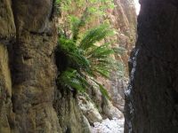 Waterkloof Hiking Trial, Baviaanskloof