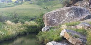 Highmoor Nature Reserve