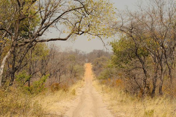 Mangetti National Park