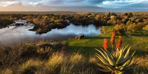 Bontebok National Park