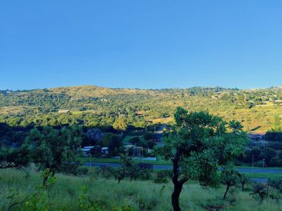 Little Falls Ridge Nature Reserve