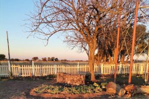 The Peppertree