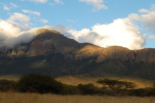 Moholoholo Nature Reserve and Wildlife Rehabilitation Centre
