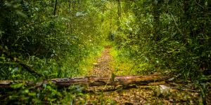 Garden Route National Park