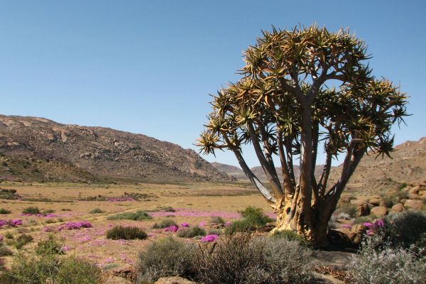 Goegap Nature Reserve