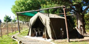 Karoo Gariep Tented Camp