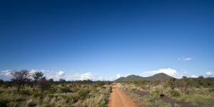 Madikwe Game Reserve