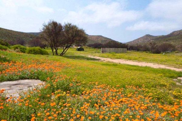 Modderfontein Farm Campsite