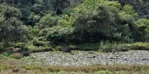 New Germany Nature Reserve