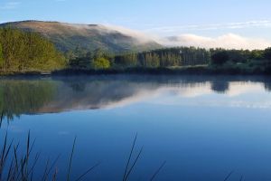Highlander Trout Lodge