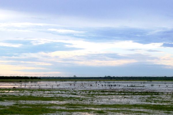 Mkhombo Nature Reserve
