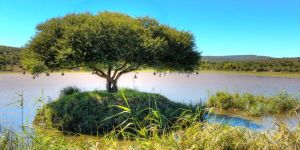 Great Fish River Nature Reserve