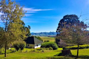 Pear Tree Cottage