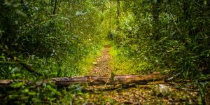 Garden Route National Park